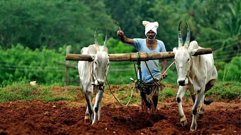 farmer