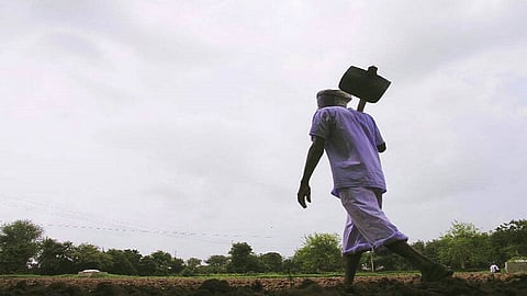 farmer