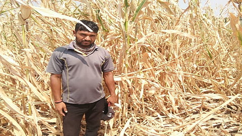 farmer