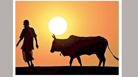 पुणे जिल्ह्यातील ५० हजार शेतकरी वंचित