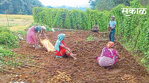 farming