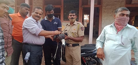 पोलिसांच्या तत्परतेने माळढोक पक्ष्यास जीवनदान