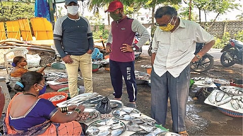 अलिबाग : मासळी बाजारात पापलेट खरेदी करताना खवय्ये.