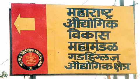 Opportunities For Agro-Processing Industries In Gadhinglaj Subdivision Kolhapur Marathi News