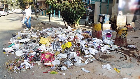 no Garbage dustbins in Vairagad village Gadchiroli  