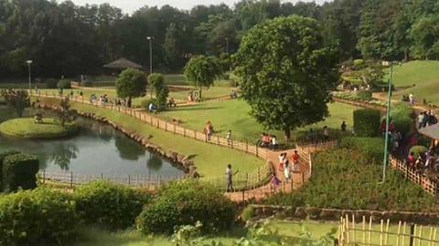 garden.jpg