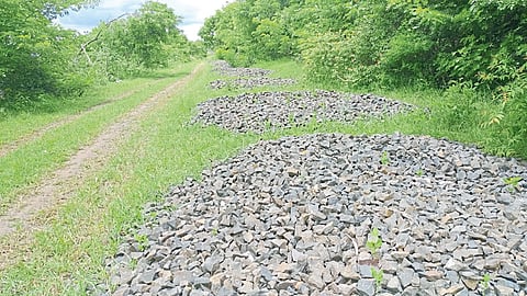 koregaon