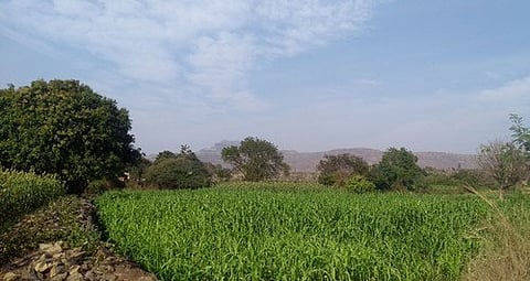 gra.jpg