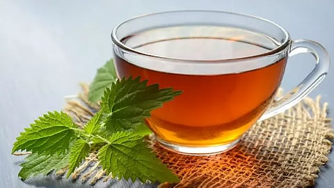  five ingredients add to green tea for better benefit nagpur news