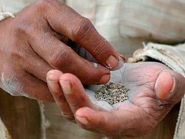 gutka