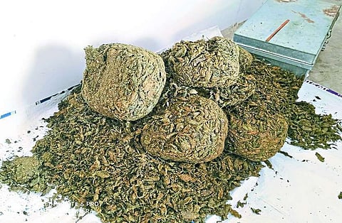hemp smuggling