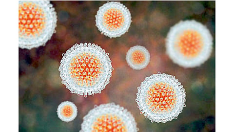 hepatitis
