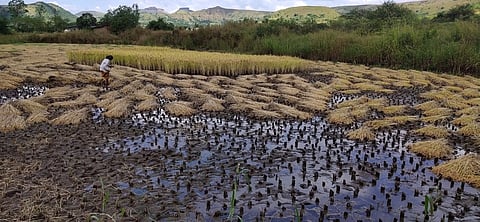 igatpuri nuksan.jpg