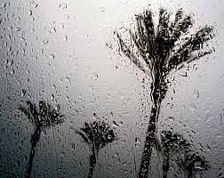 नंदुरबार,नवापूरात बेमोसमी पाऊस