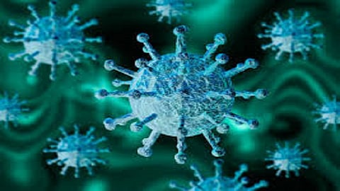 corona virus