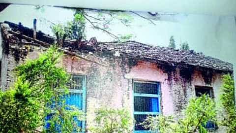 संग्रहीत छायाचित्र