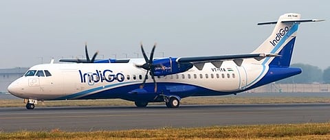 indigo