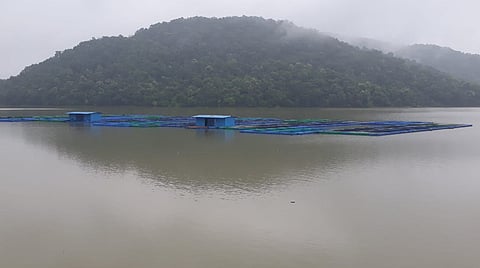इटियाडोह धरणात केज कल्चर प्रोजेक्‍ट तयार करण्यात आला आहे.