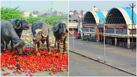 jadhavwadi