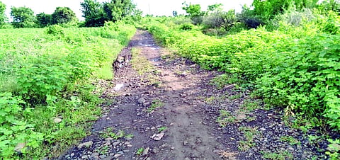  कळमेश्‍वरः सावळी खुर्द- वाढोना बुर्जच्या जोडावर वरोडा मार्गे जाणारा ६ ते ७ किलोमीटरचा शिवपांदण मार्ग गेल्या काही वर्षापासून दुर्लक्षित झाला आहे.