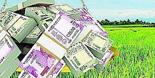 Allocation of thousands of crores for crop loans in Nagar distric