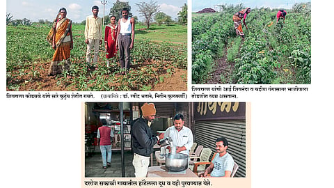 young man from a suicidal family stubbornly cultivates agriculture