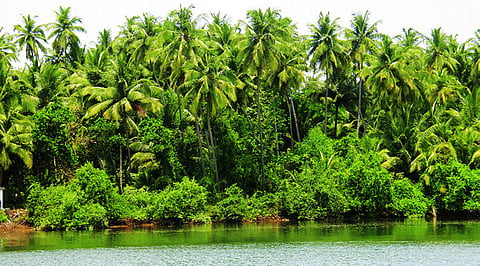 kokan tourisam