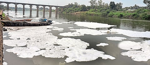  Pollution-free mission of this major river of Maharashtra got stuck in the proposal