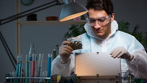 opportunity for job and career in forensic lab and package information