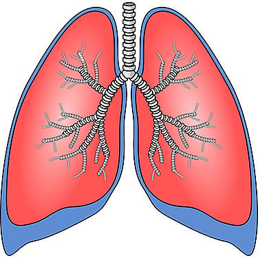 The proposal of the Lung Research Institute was rejected