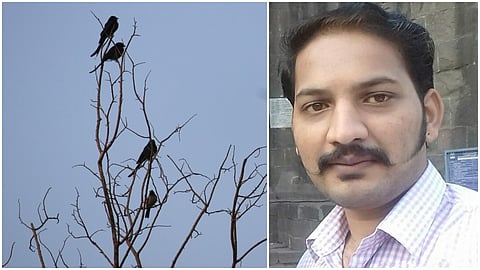 Mayur Chavan