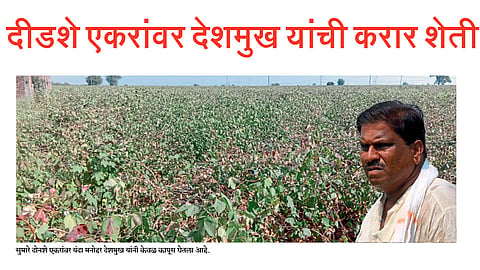 दीडशे एकरांवर देशमुख यांची करार शेती