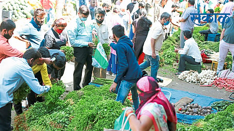 काकडी, प्लॉवर, मटार, पावट्याच्या भावात वाढ;पालेभाज्यांच्या भावात घसरण