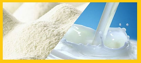 At Akola Risod, milk is getting the highest price in the state!