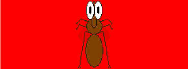 mosquito.