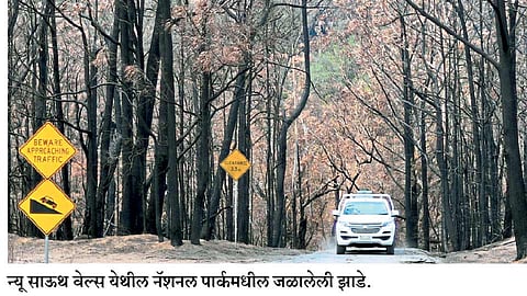 ऑस्ट्रेलियातली आग, जगासाठी धोक्याची घंटा!