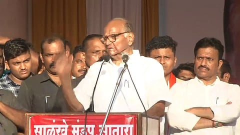 ncp leader sharad pawar 
