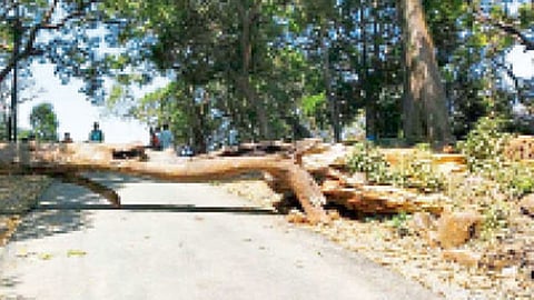 गावांमध्ये "नो एंट्री'; प्रवेशद्वारांचे रस्ते दगड, फांद्या टाकून बंद 