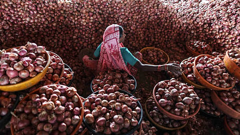 onion price.jpg