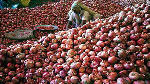 onion price 3.jpg