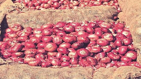onion traders