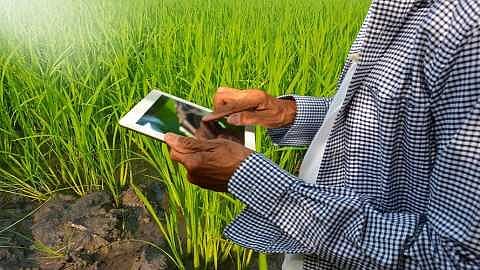 how to apply online for farmer scheme 