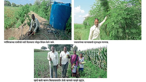 फळबागा, मिश्रपिके, सिंचनासह शेती केली किफायतशीर 