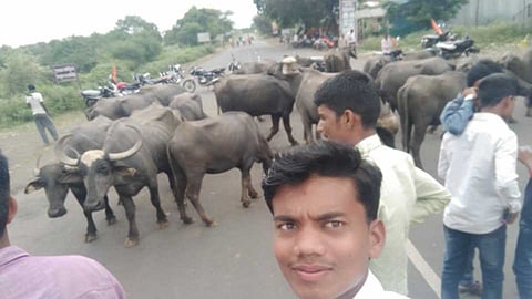 parbhani