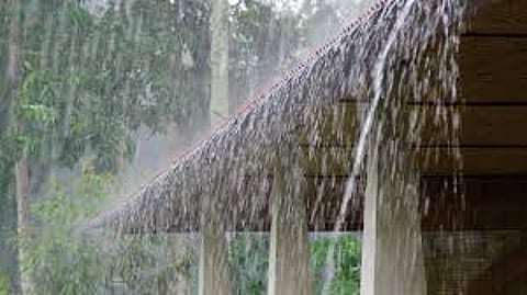 rain in Nashik