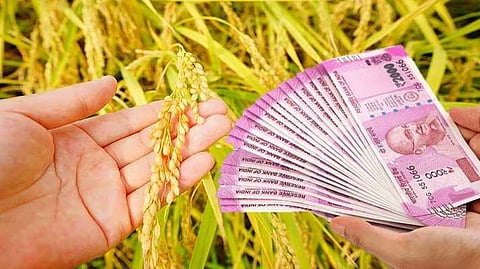 crop insurance
