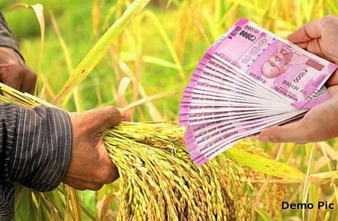 pik loan