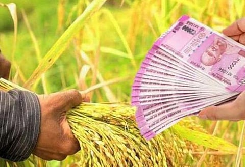 Akola News: Even after the kharif crop is gone, the best payout