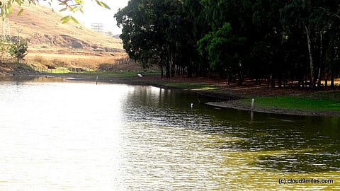pond sula wine.jpg