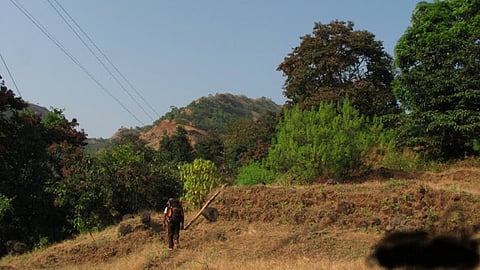 power line wire